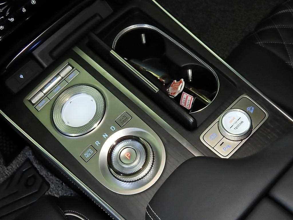 Genesis GV80 - Vista 12