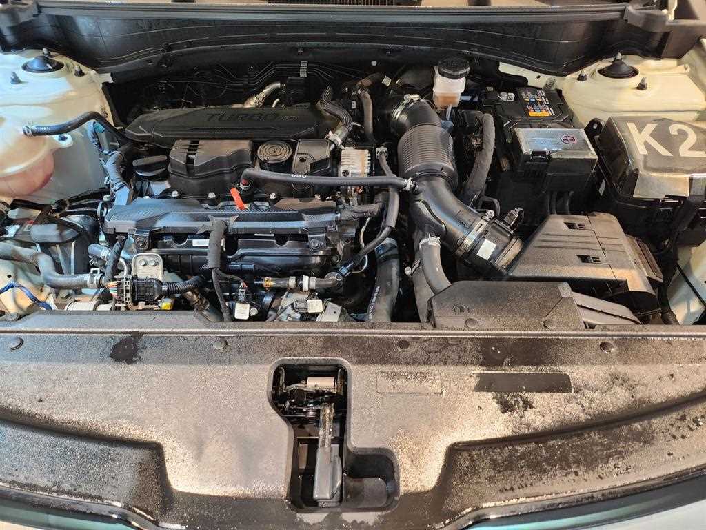 KIA Sportage 2023 Blanco - Importación desde Corea - HF Imports Iquique - Foto 17