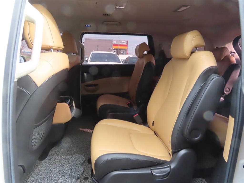 KIA Carnival - Vista 8