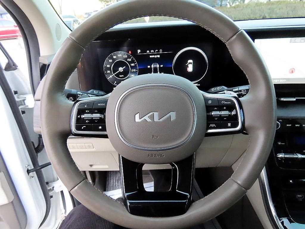 KIA Carnival - Vista 8