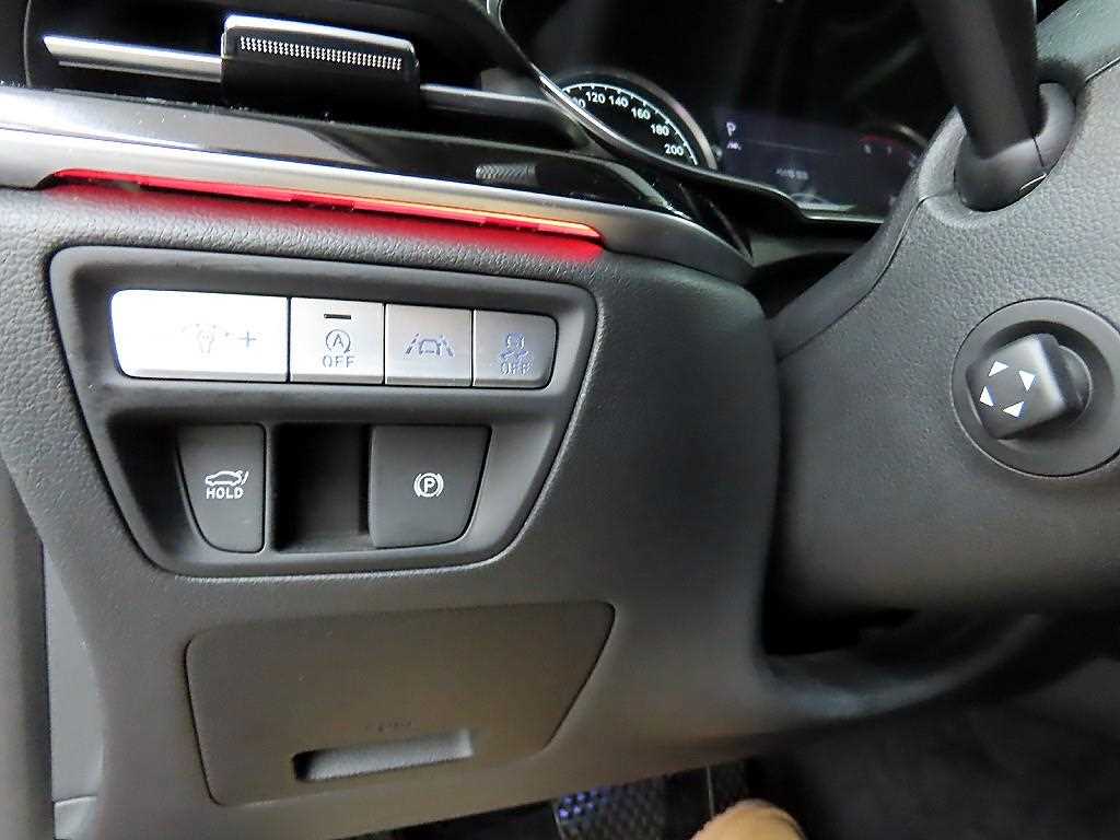 Genesis G80 - Vista 12