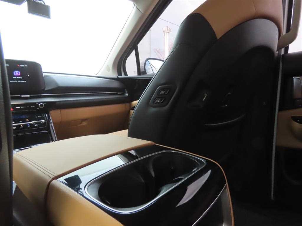 KIA Carnival - Vista 9