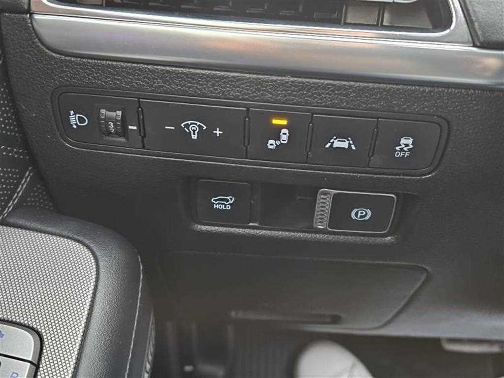 HYUNDAI Palisade - Vista 10