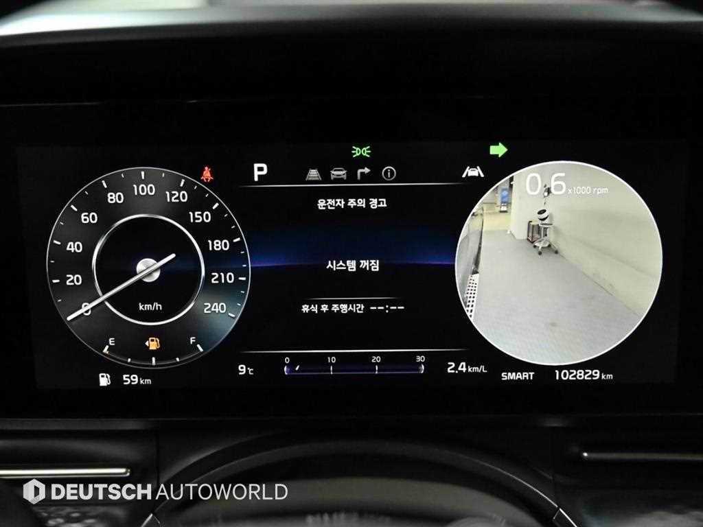 KIA Carnival - Vista 8