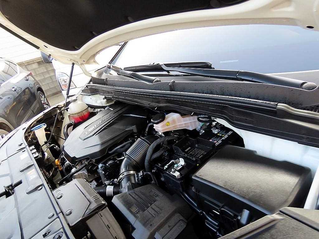 KIA Carnival 2025 Blanco - Importación desde Corea - HF Imports Iquique - Foto 19