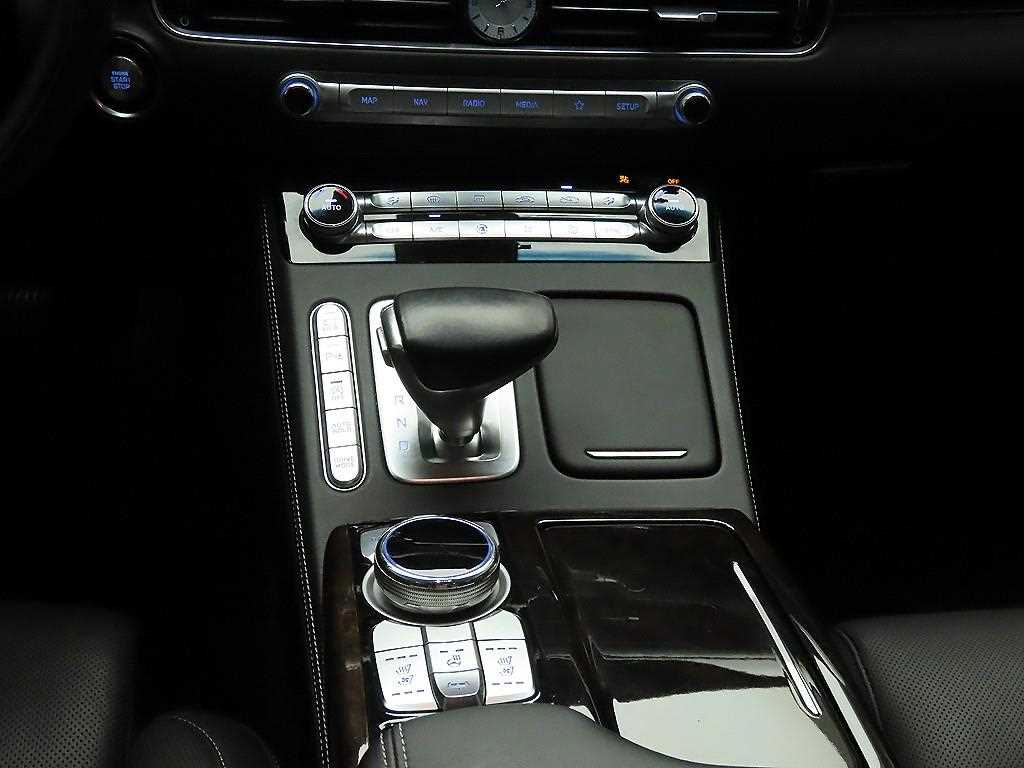 Genesis G90 - Vista 10