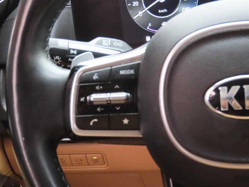 KIA Carnival - Vista 12