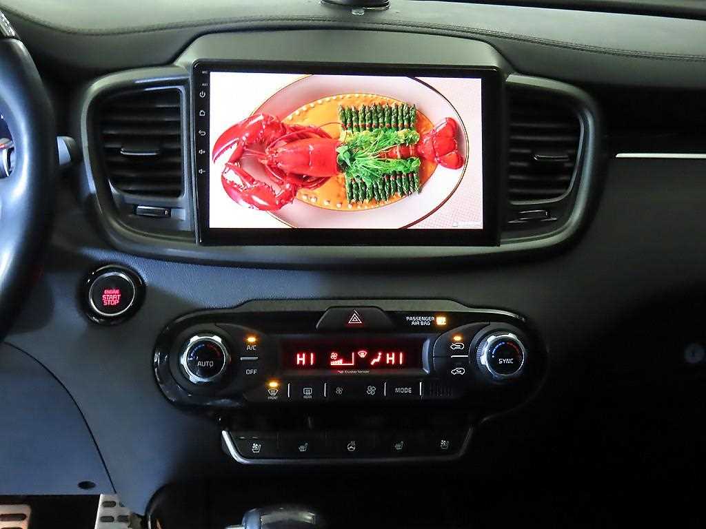 KIA Sorento - Vista 11