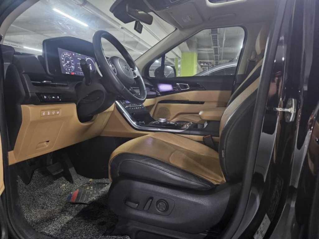 KIA Carnival - Vista 12