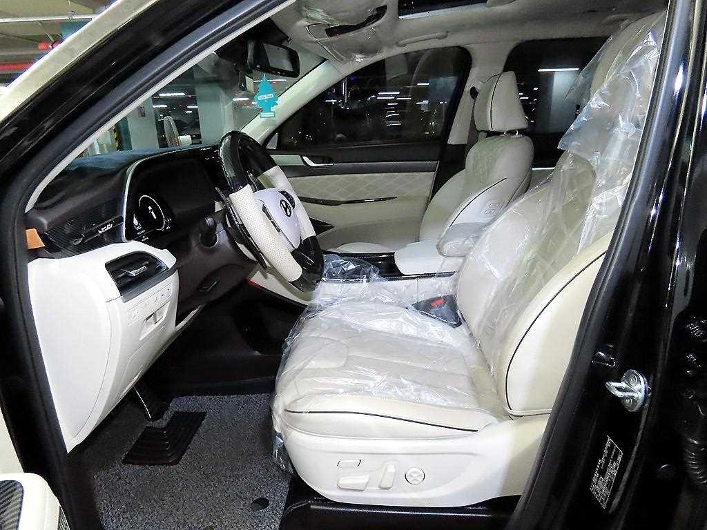 HYUNDAI Palisade - Vista 6