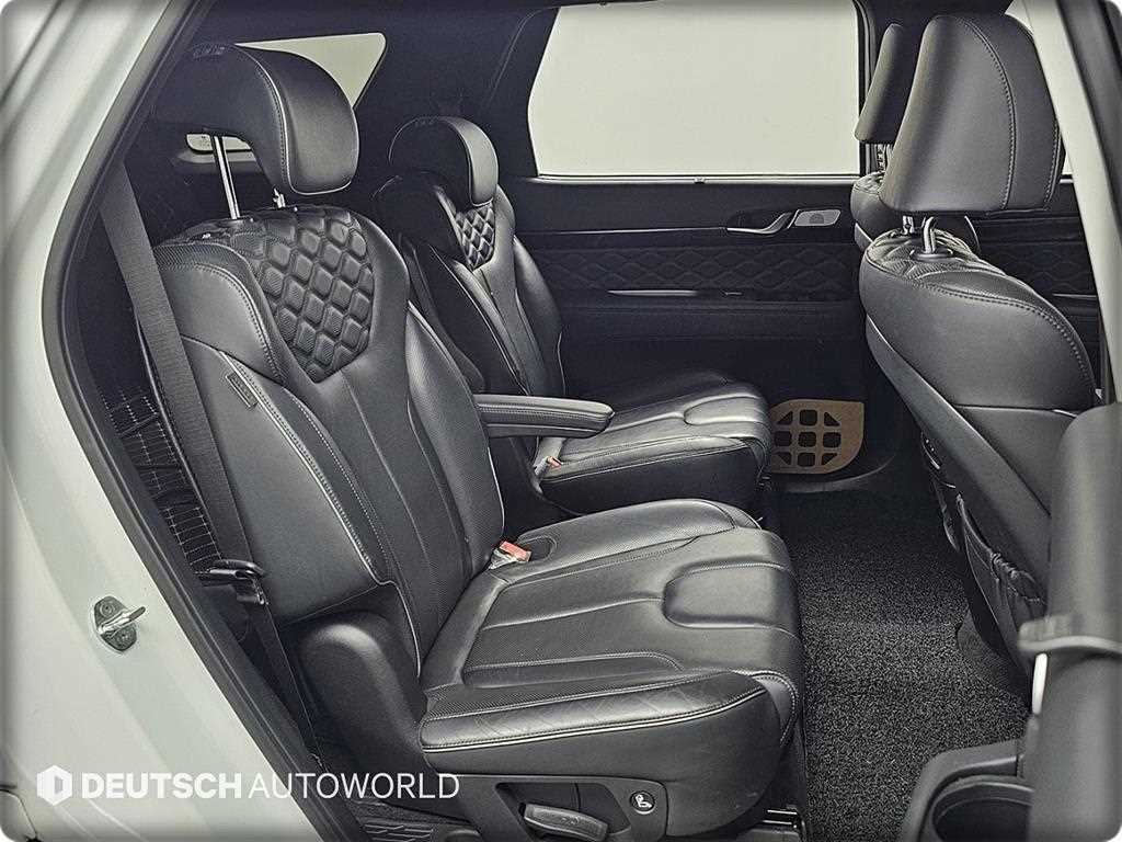 HYUNDAI Palisade - Vista 12