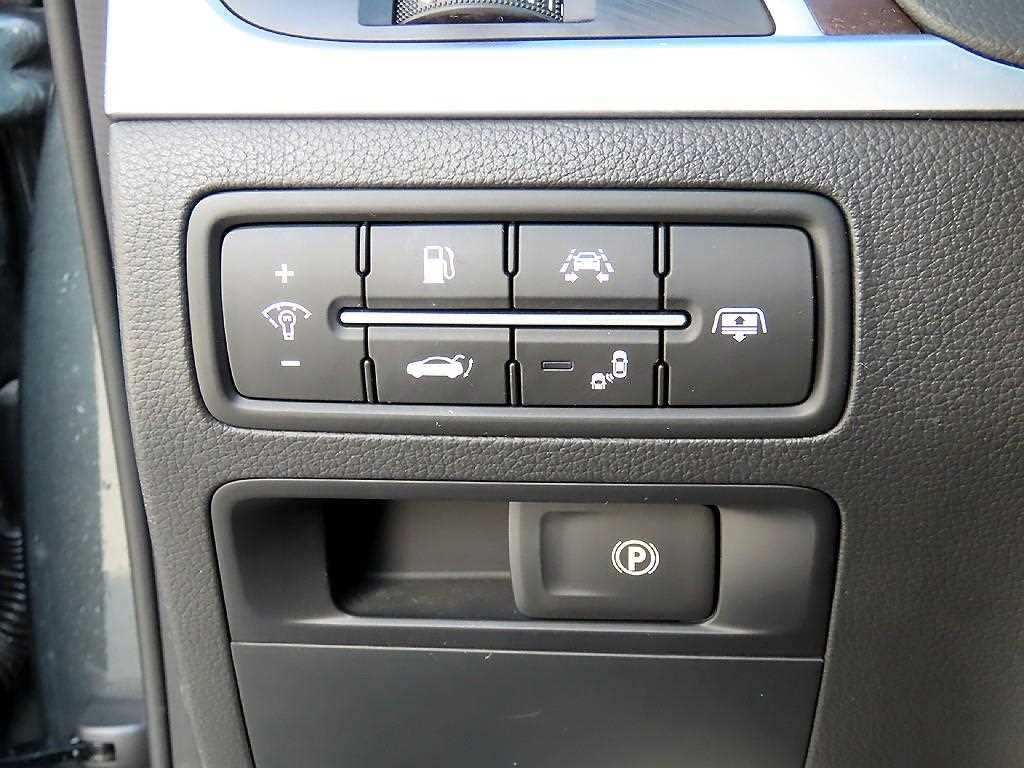 Genesis G80 - Vista 12