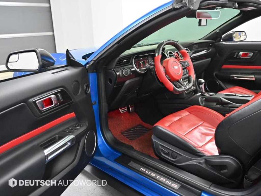 Ford Mustang - Vista 11