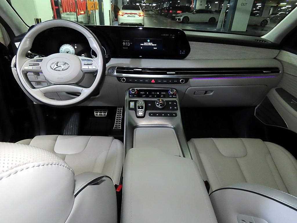 HYUNDAI Palisade - Vista 10