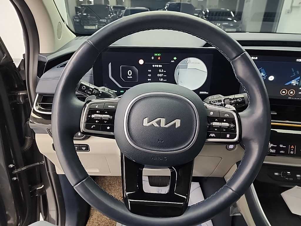 KIA Carnival - Vista 9
