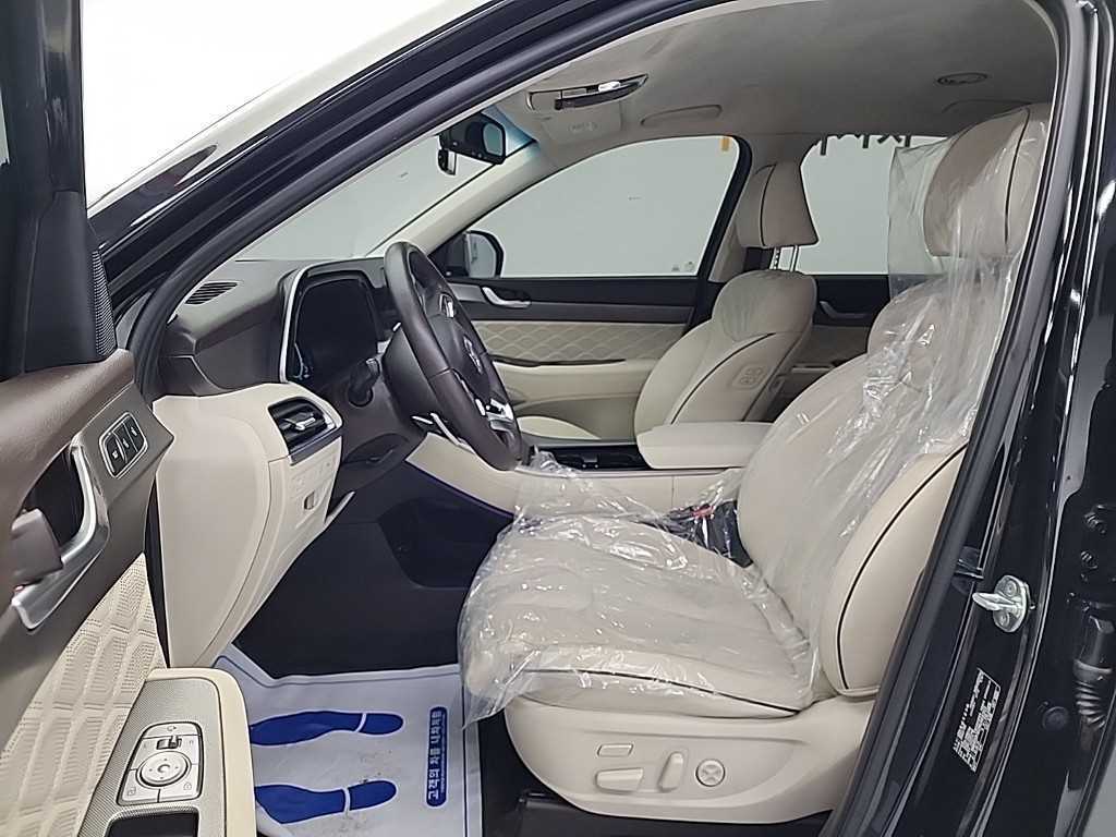 HYUNDAI Palisade - Vista 11