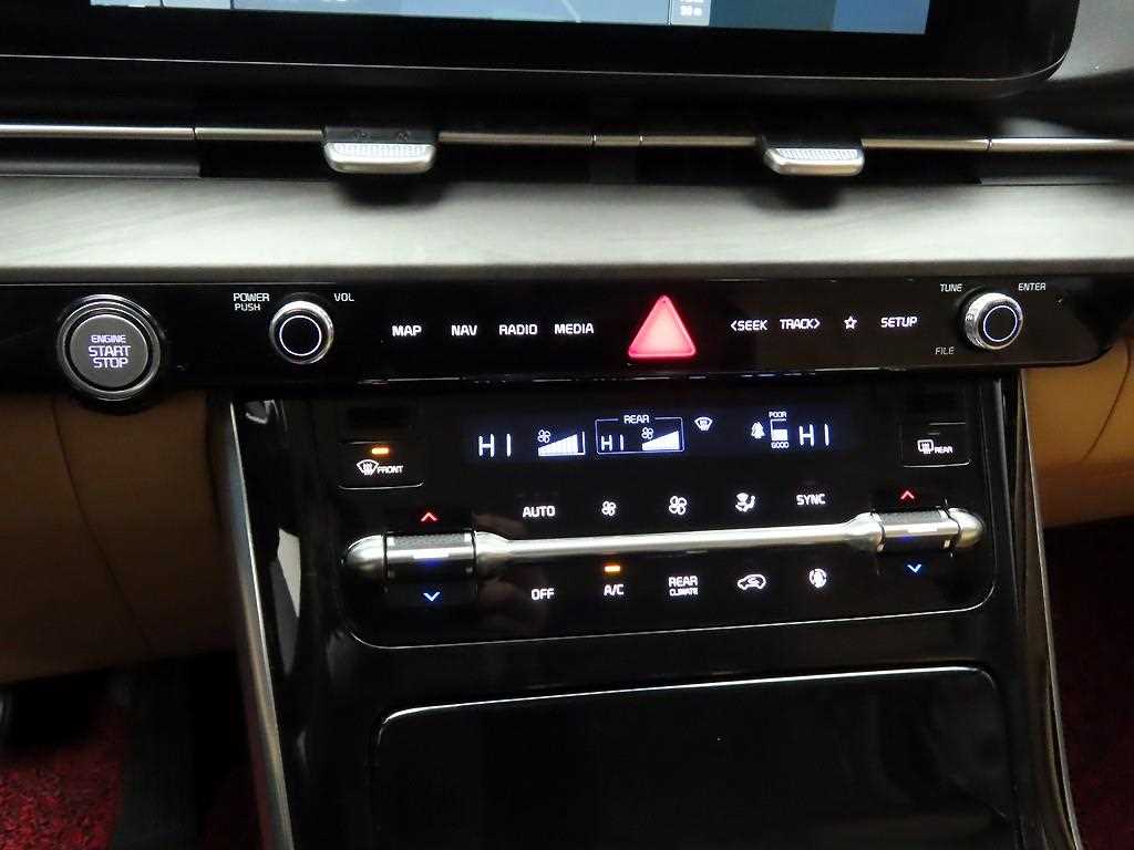 KIA Carnival - Vista 9