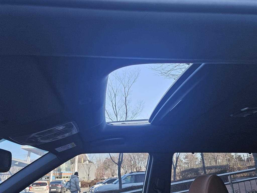 Ssangyong Torres - Vista 11