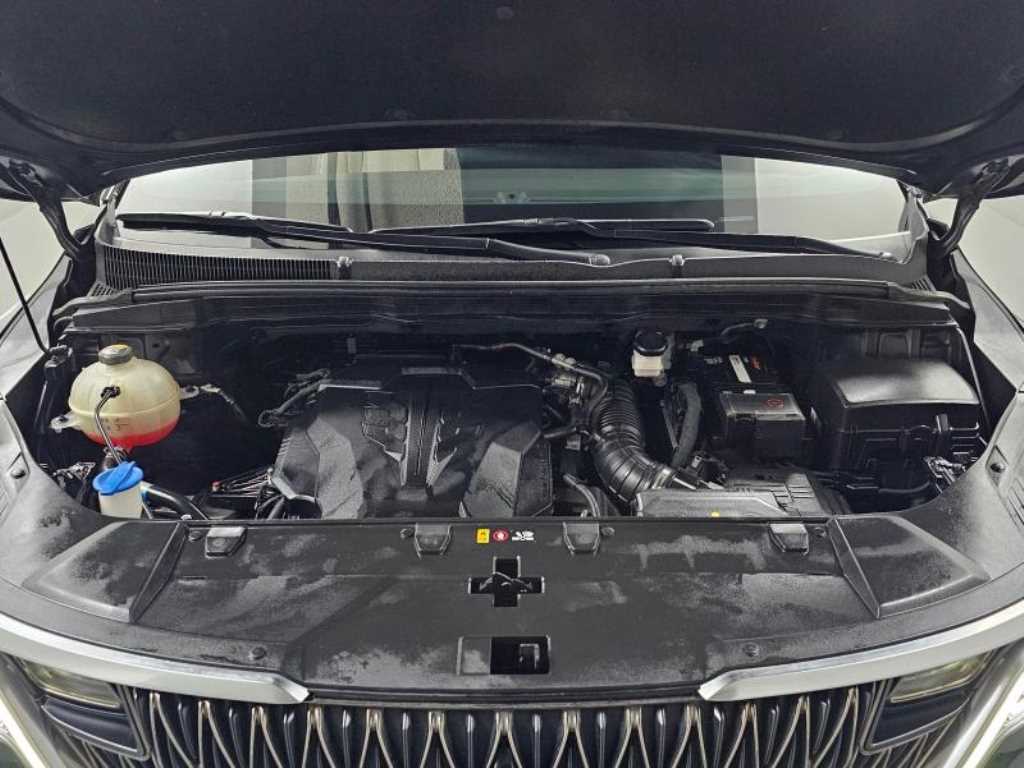 KIA Carnival - Vista 6