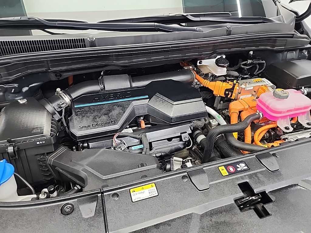 KIA Carnival - Vista 5