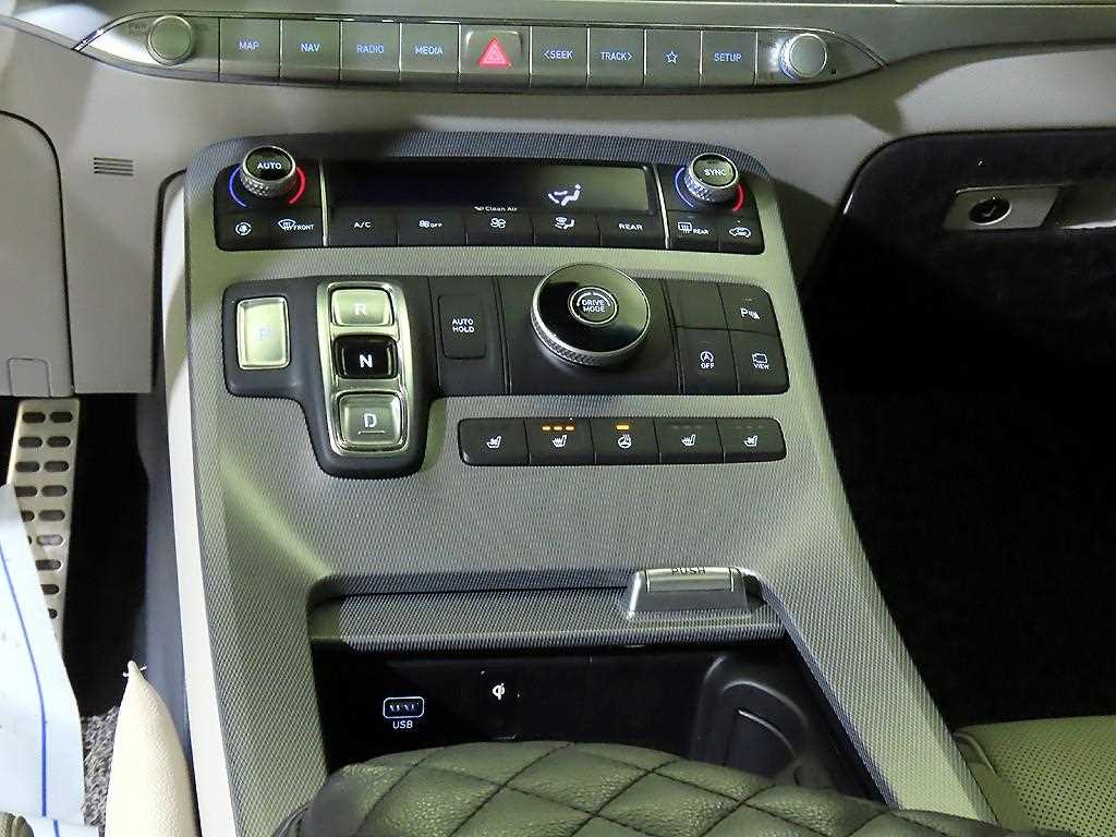 HYUNDAI Palisade - Vista 12