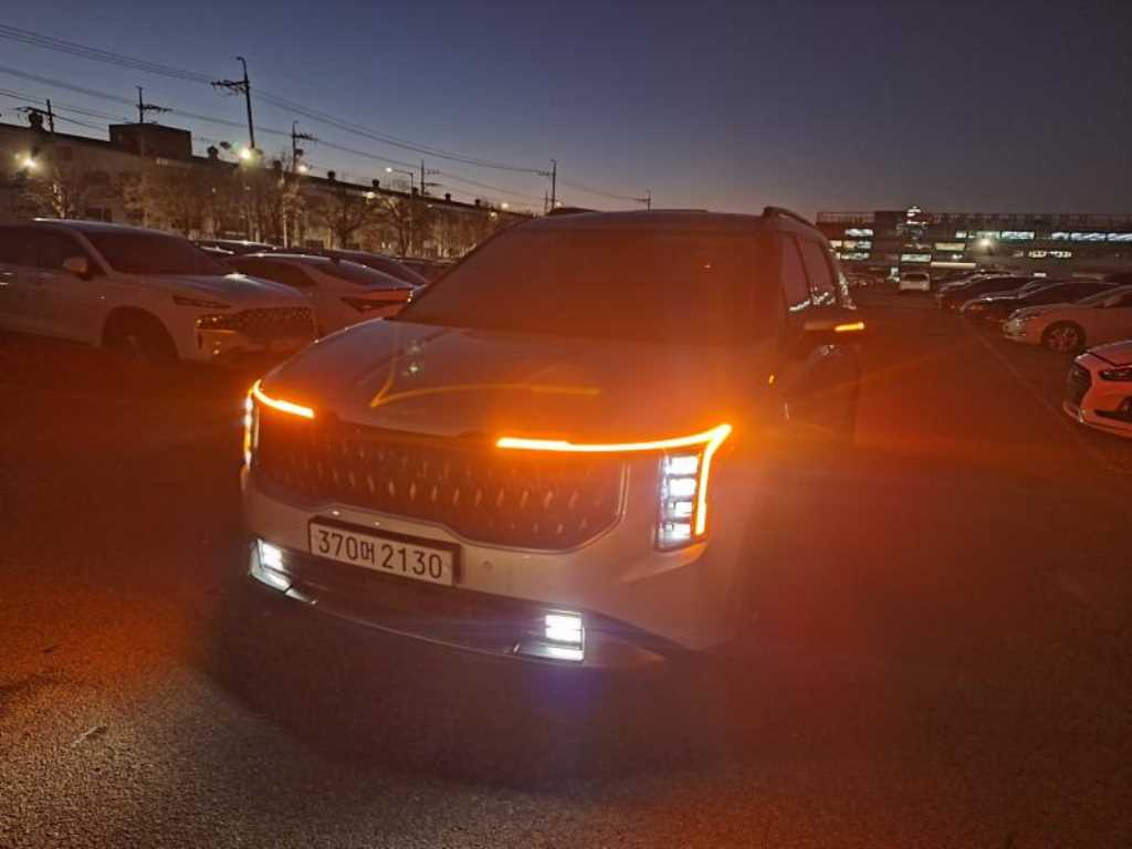 KIA Carnival - Vista 2