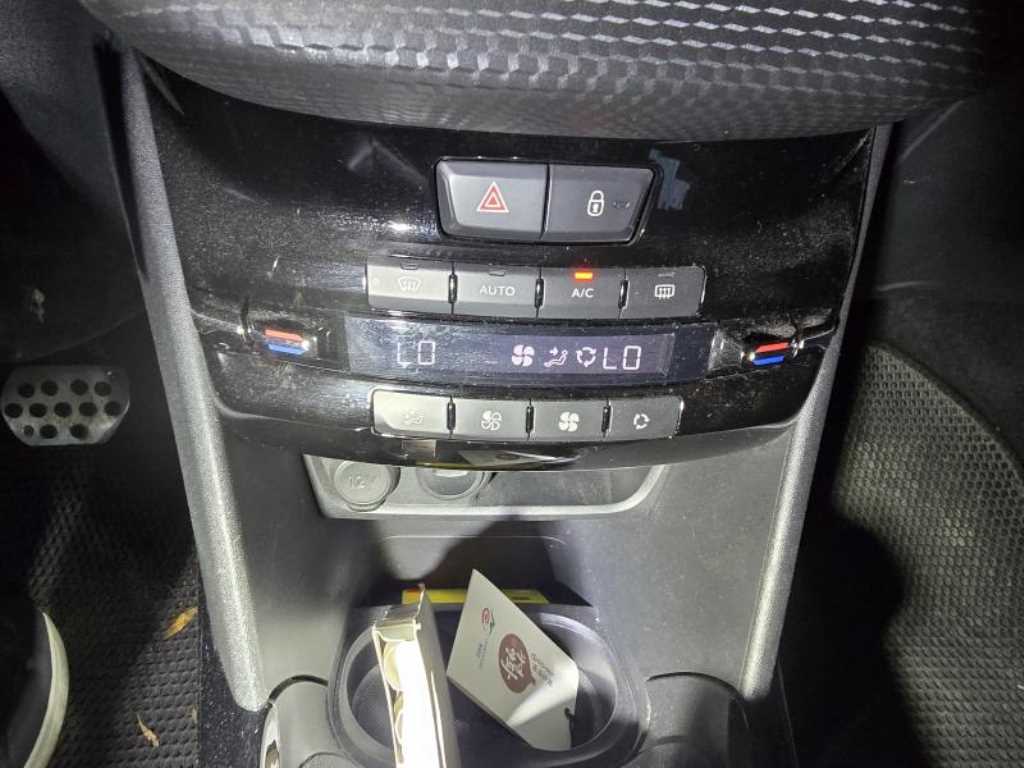 Peugeot 2008 - Vista 11