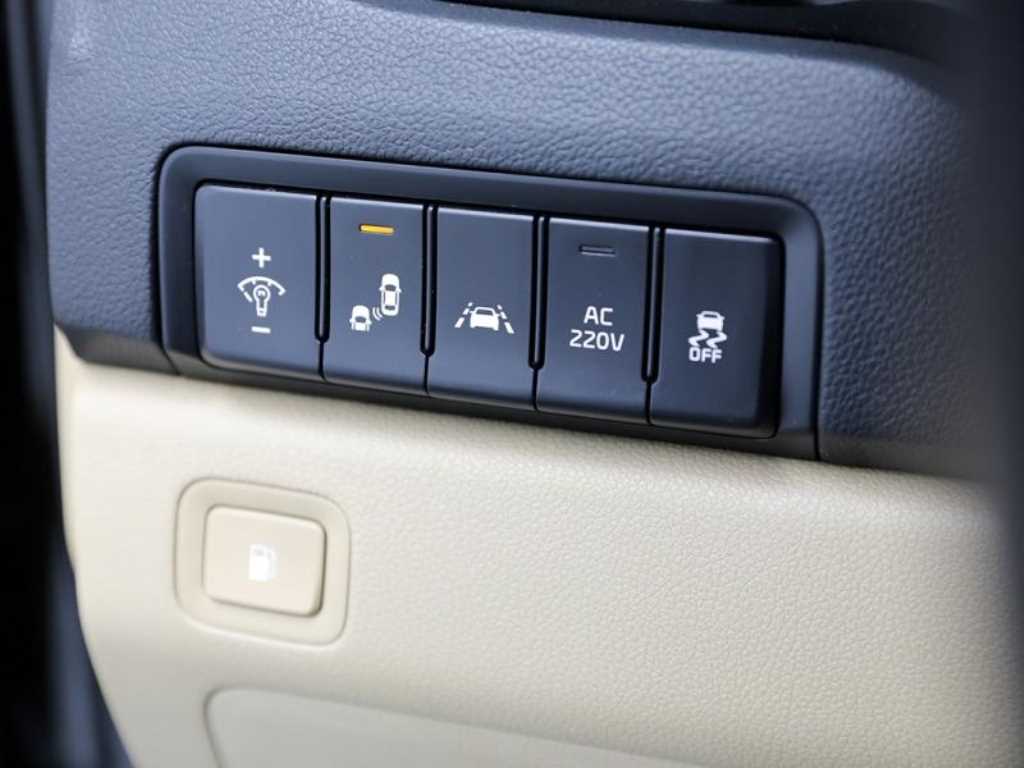 KIA Carnival - Vista 11