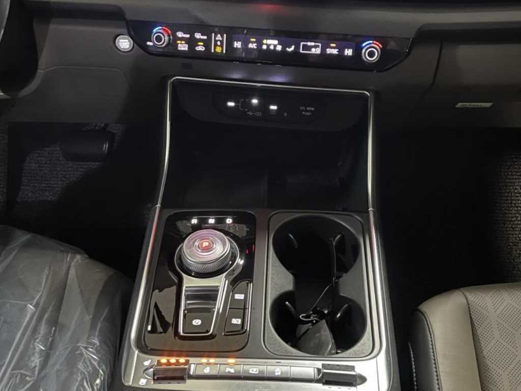 KIA Carnival - Vista 12