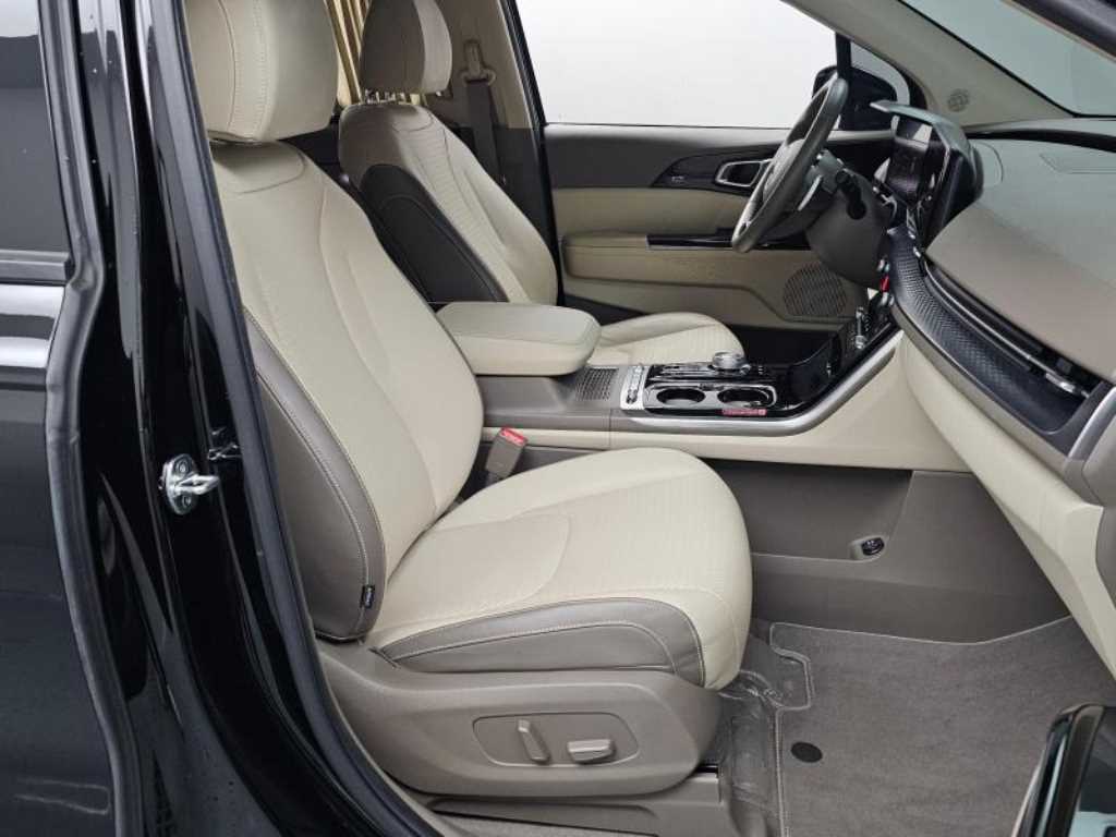 KIA Carnival - Vista 10