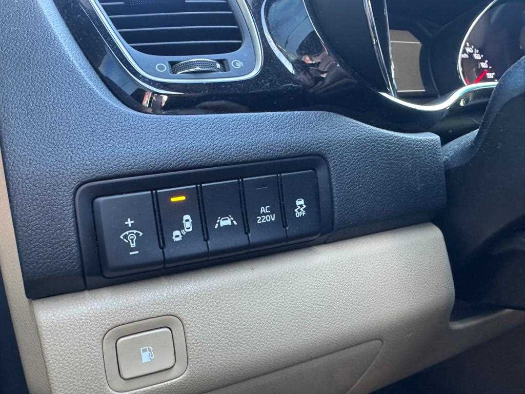 KIA Carnival - Vista 12