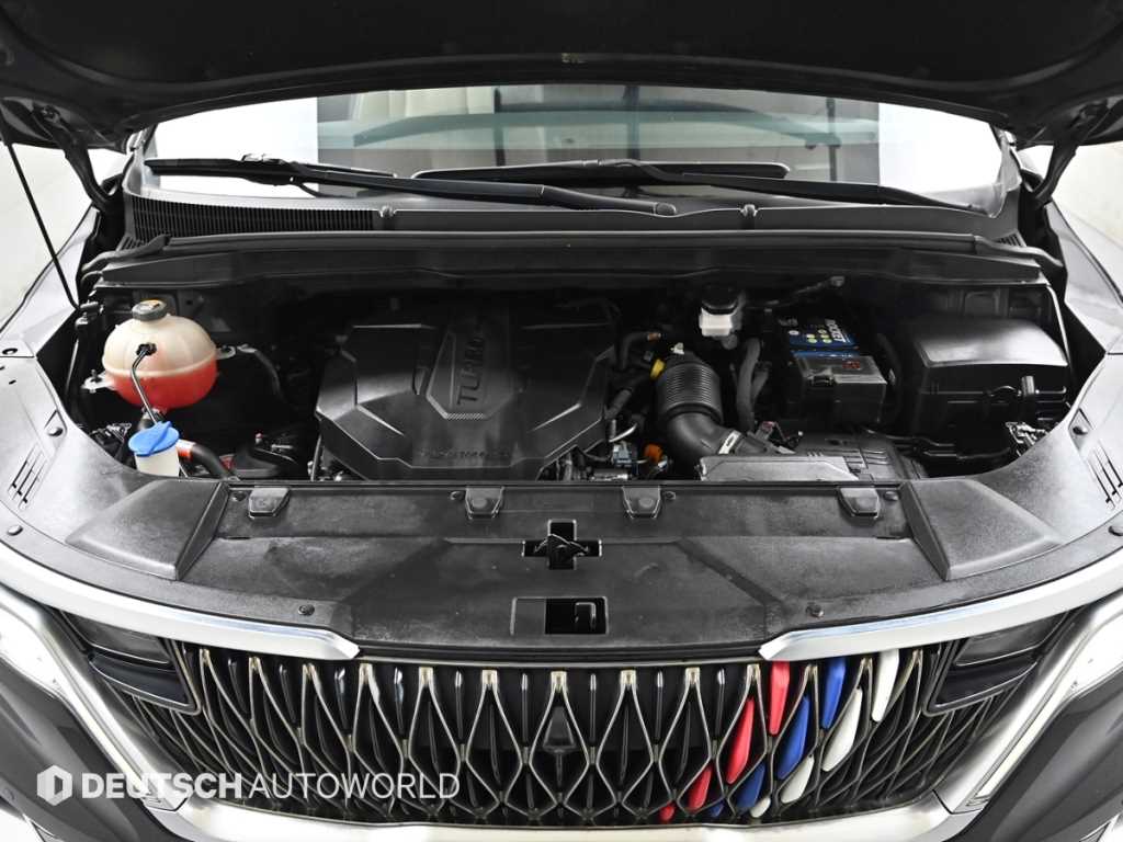 KIA Carnival - Vista 6