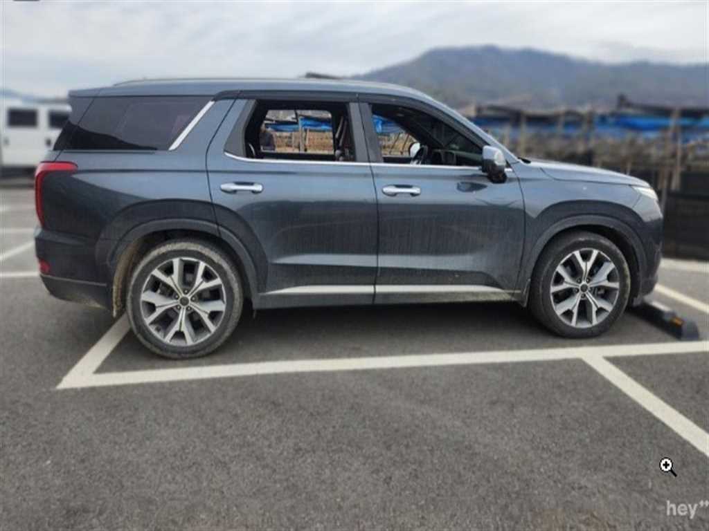 HYUNDAI Palisade - Vista 3