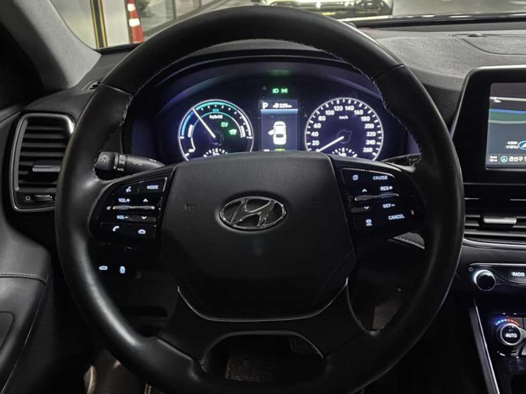 HYUNDAI Grandeur - Vista 10