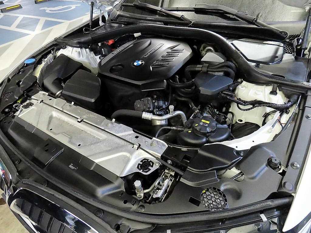 BMW 3 series 2019 - Importación desde Corea - HF Imports Iquique - Foto 19