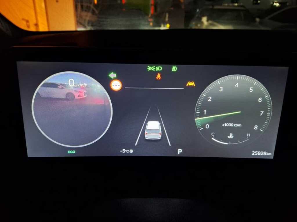 KIA Carnival - Vista 6