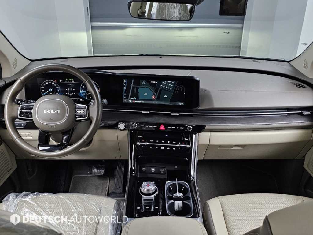 KIA Carnival - Vista 8