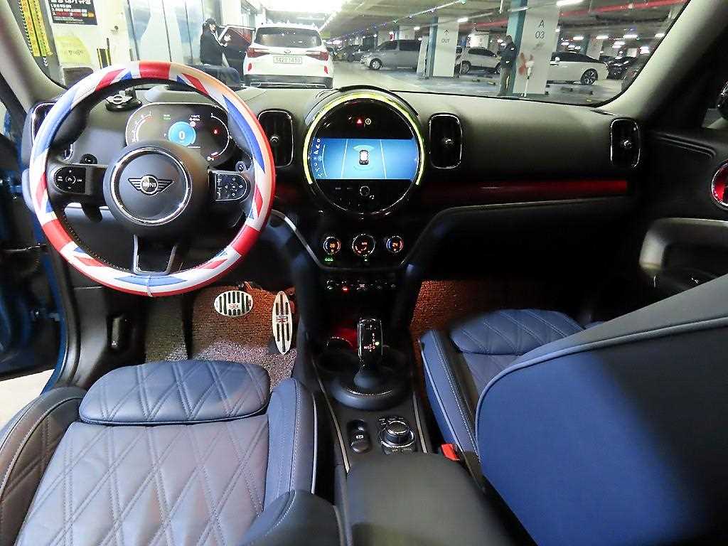 Mini Countryman - Vista 10