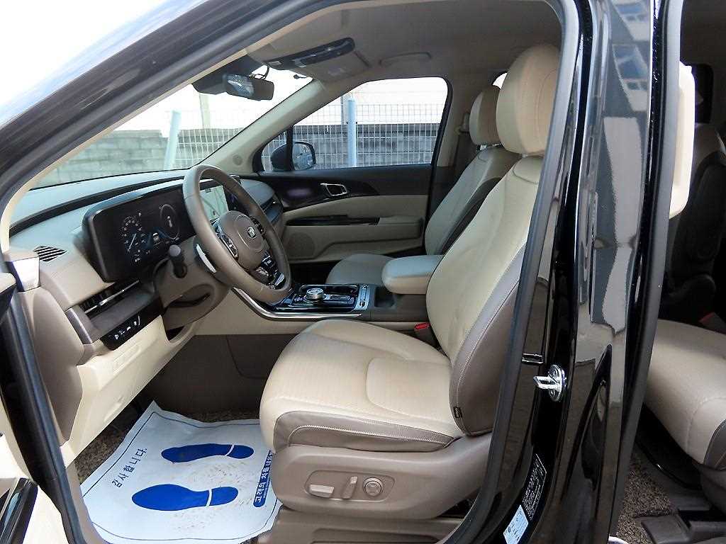KIA Carnival - Vista 12