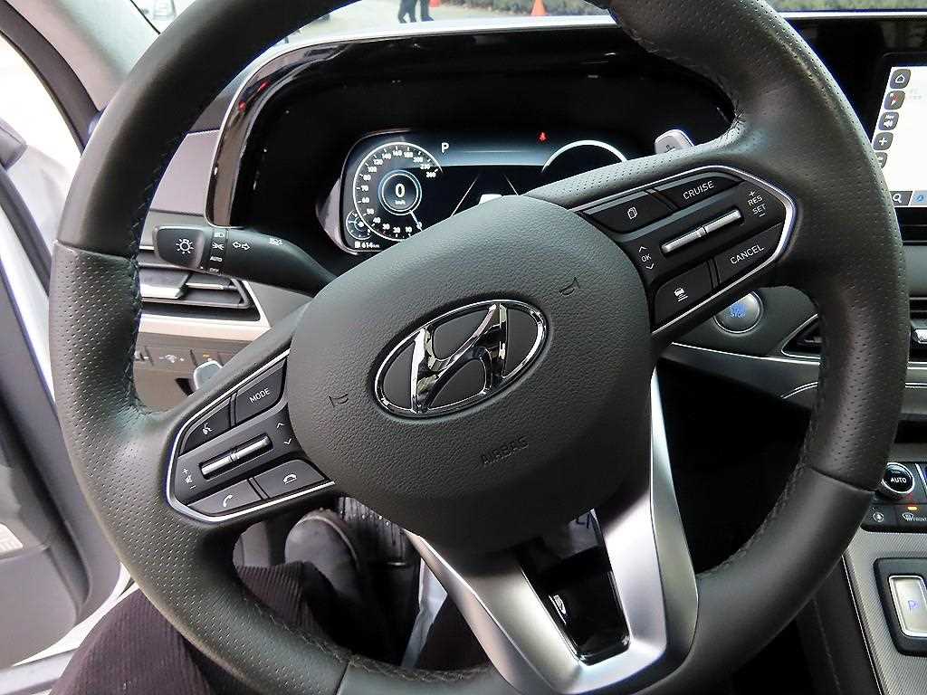 HYUNDAI Palisade - Vista 8