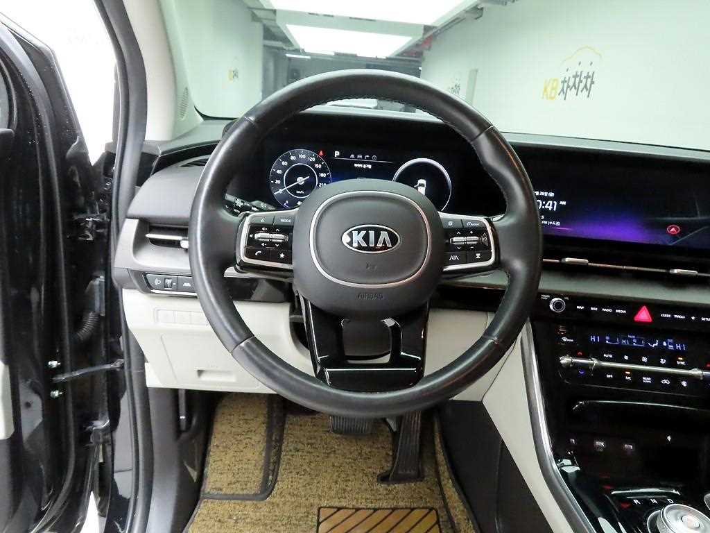 KIA Carnival - Vista 8