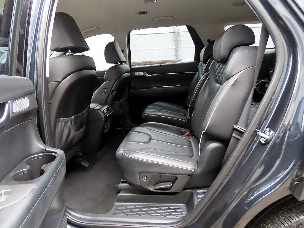 HYUNDAI Palisade - Vista 6