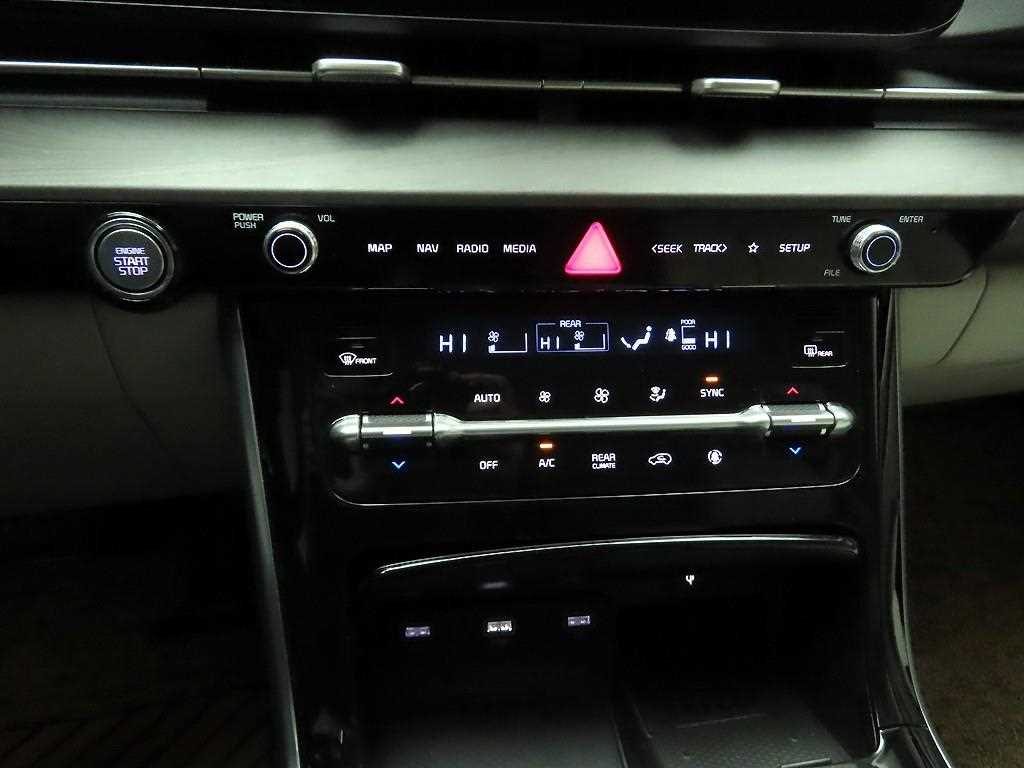 KIA Carnival - Vista 10