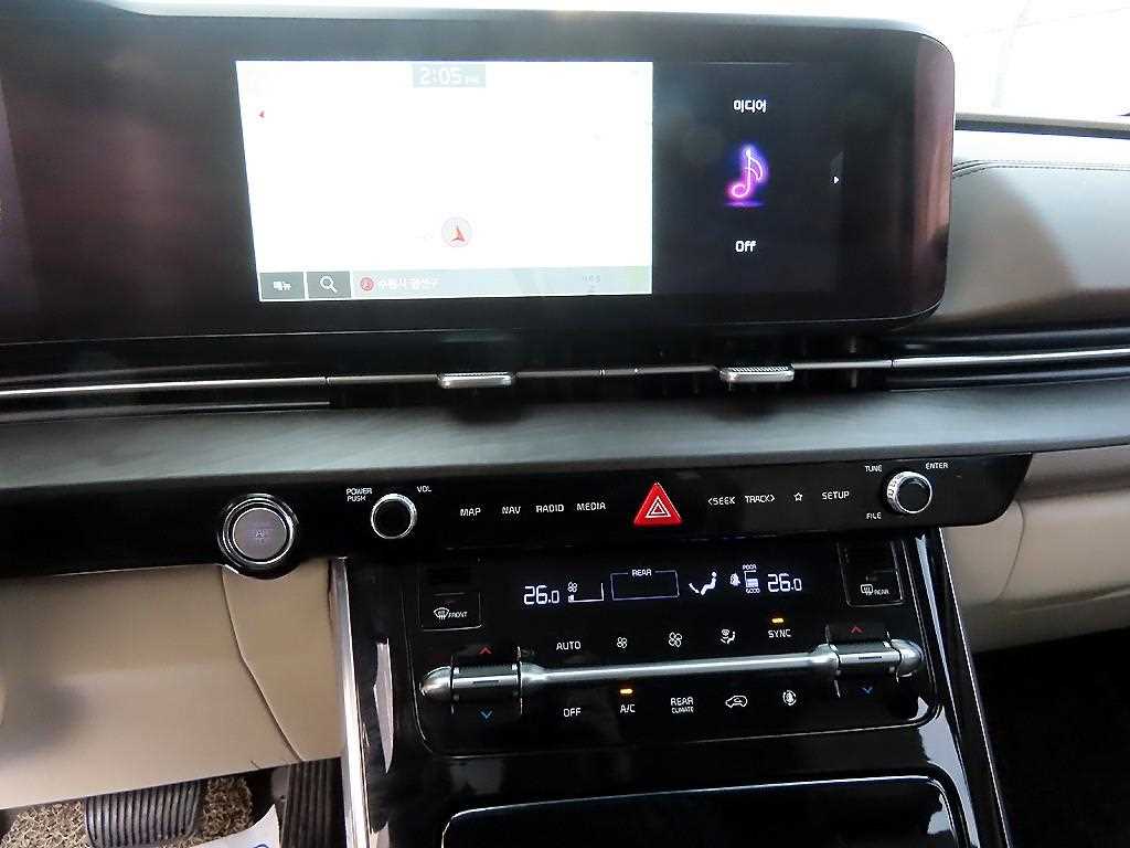 KIA Carnival - Vista 10