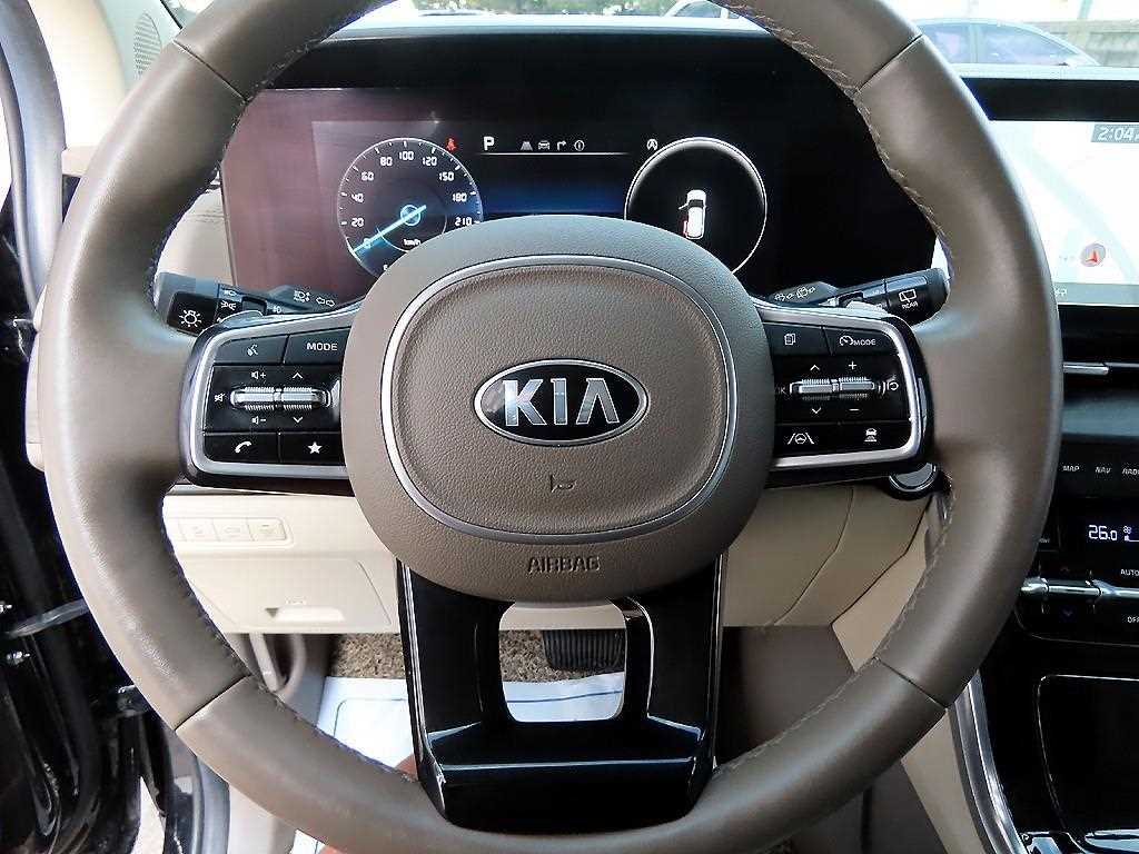 KIA Carnival - Vista 8