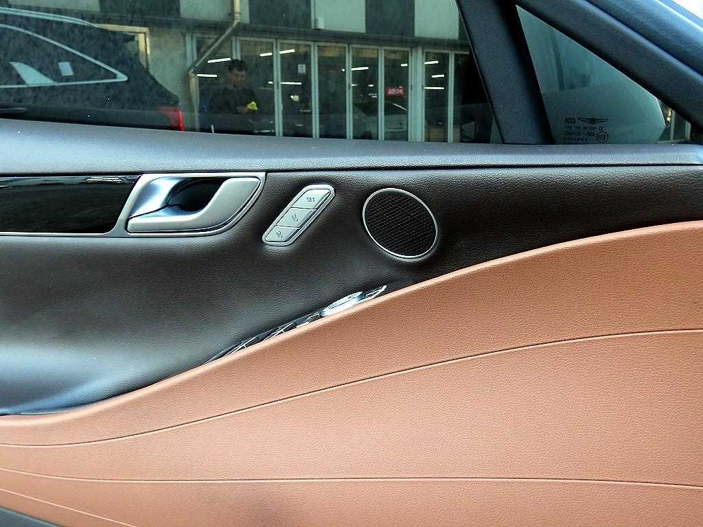 Genesis G80 - Vista 12