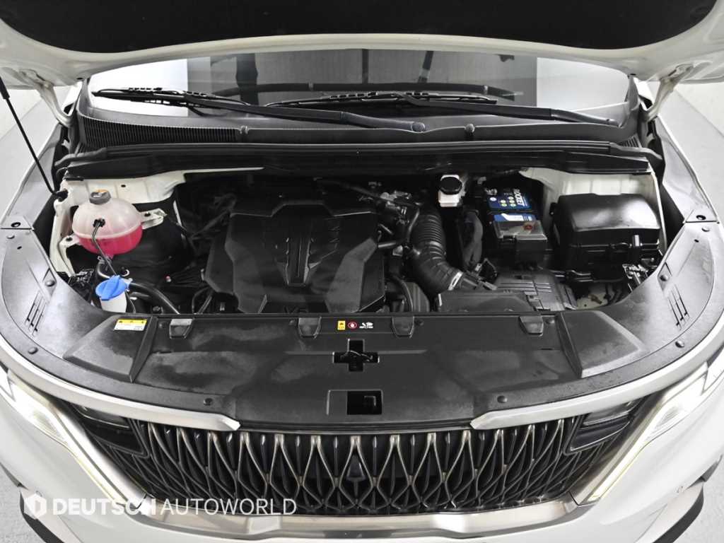 KIA Carnival - Vista 6