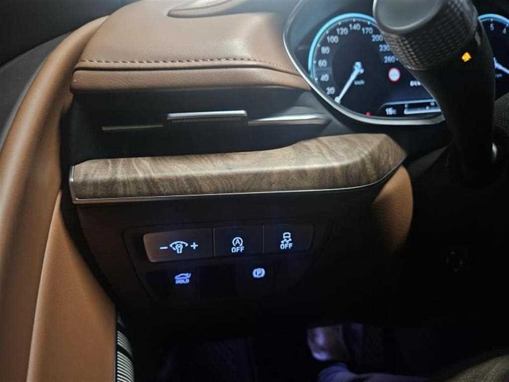 Genesis G80 - Vista 12