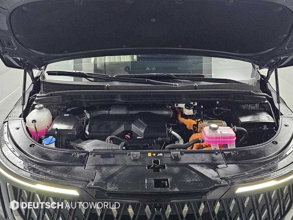 KIA Carnival - Vista 6