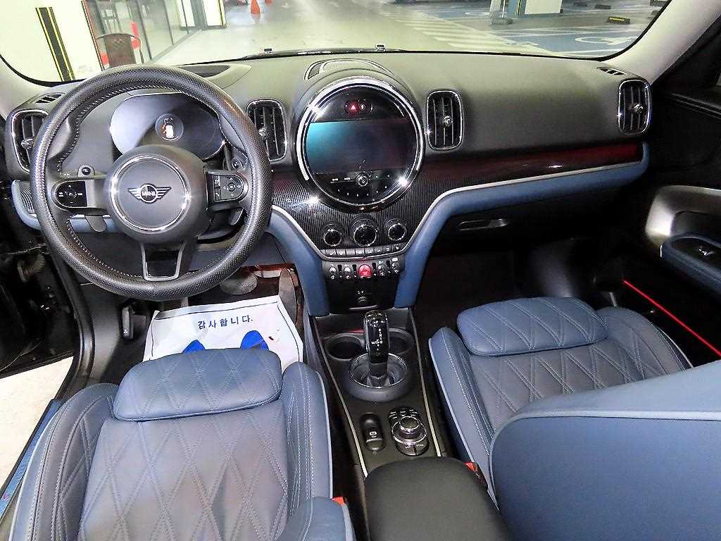 Mini Countryman - Vista 10